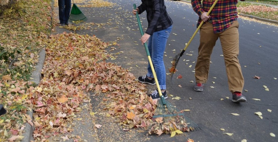 Leaf_Raking.jpg